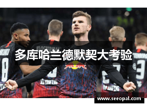 多库哈兰德默契大考验